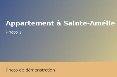 Location Appartement Studio 85m²