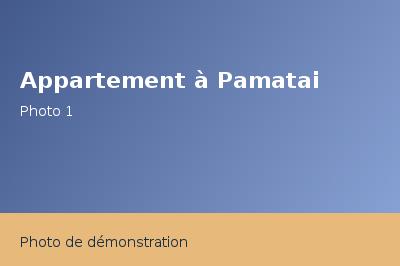 Location Appartement F5 110m²